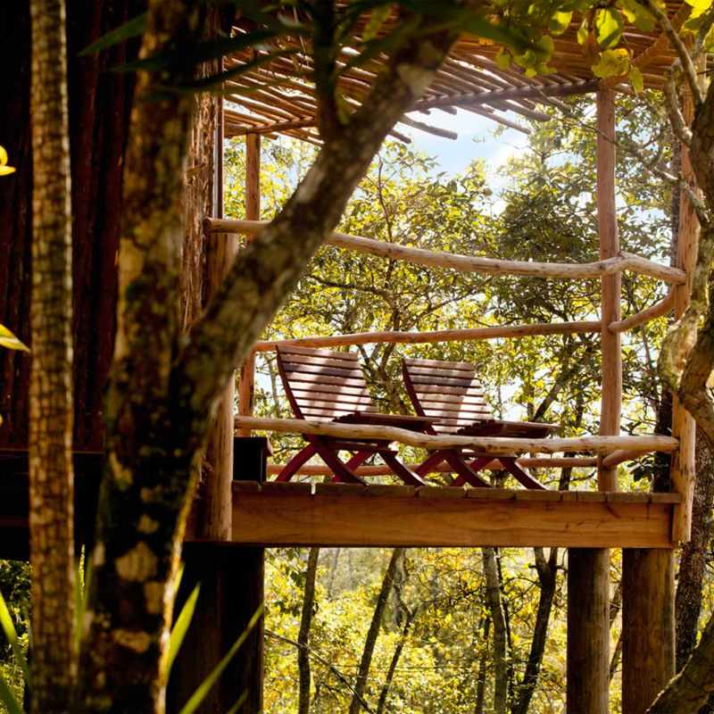 Waterfall Suite - Gaia River Lodge
