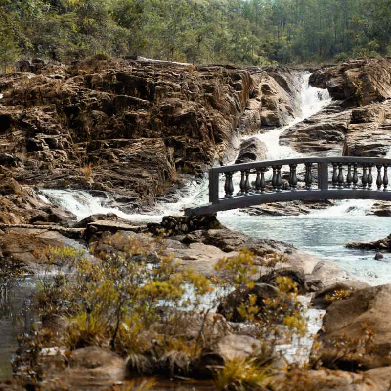 Gardens - Gaia River Lodge