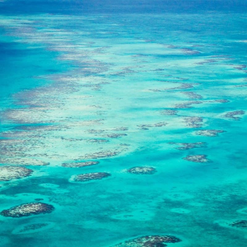 Barrier Reef 