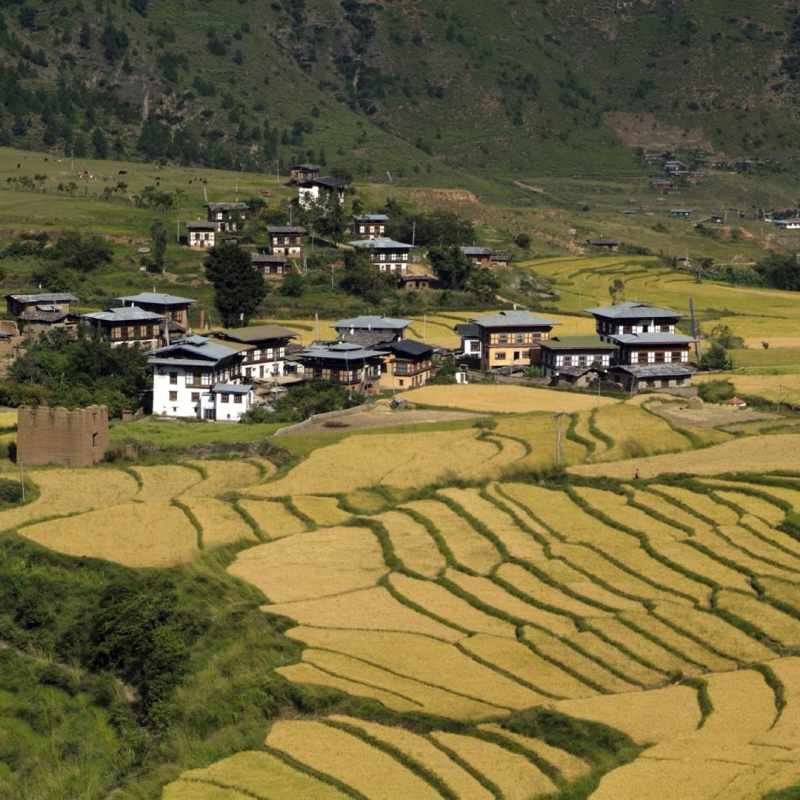 Punakha 