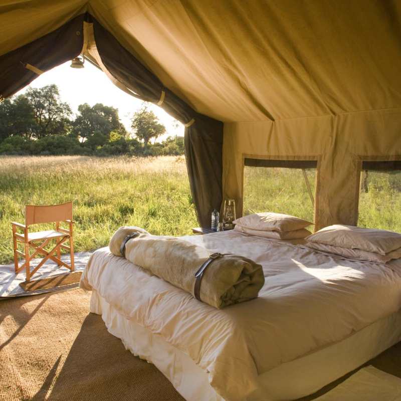 Tent Interior - Chobe Under Canvas