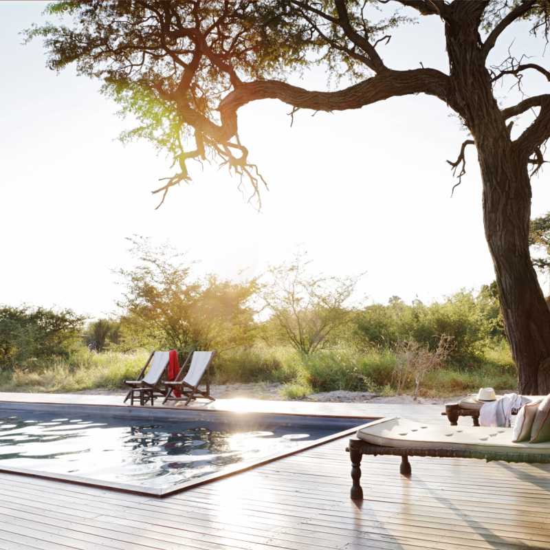Swimming Pool - Camp Kalahari