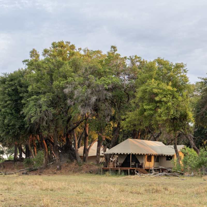 Guest tent exterior 
