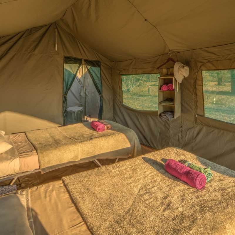 Tented room interior 