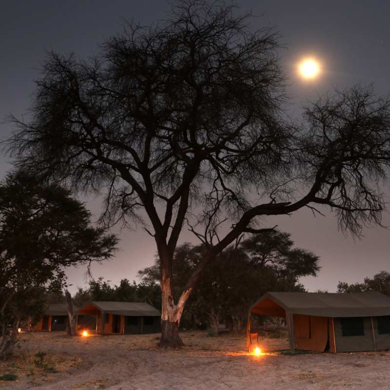 Evening in camp - Moremi