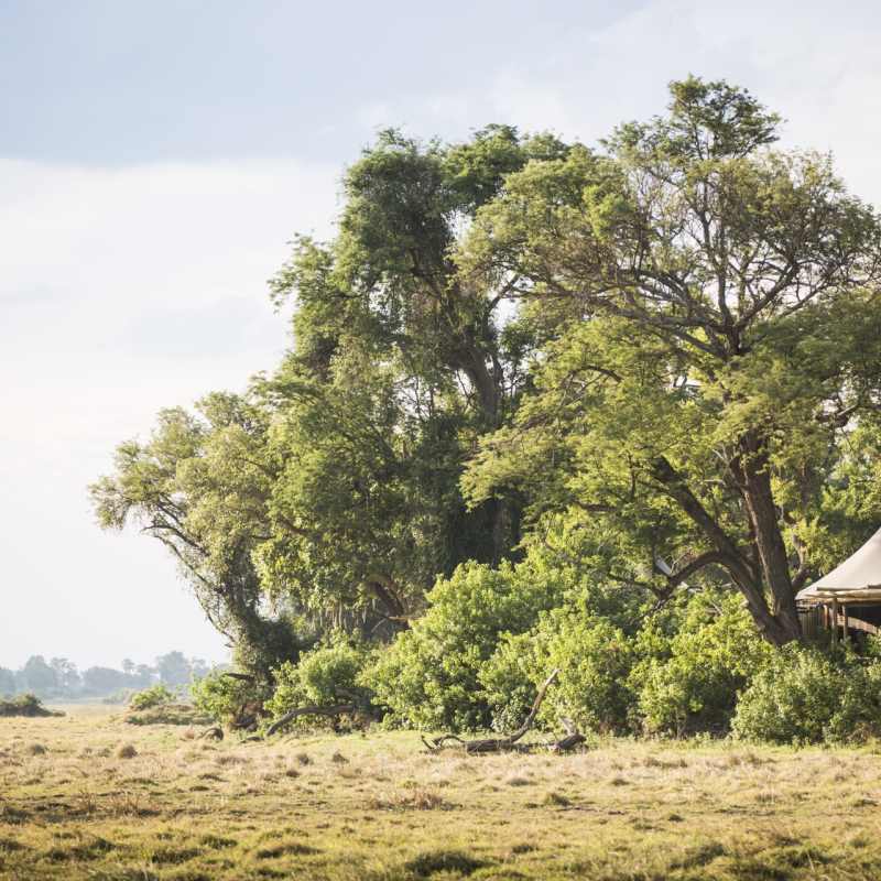Exterior of tent - Little Mombo