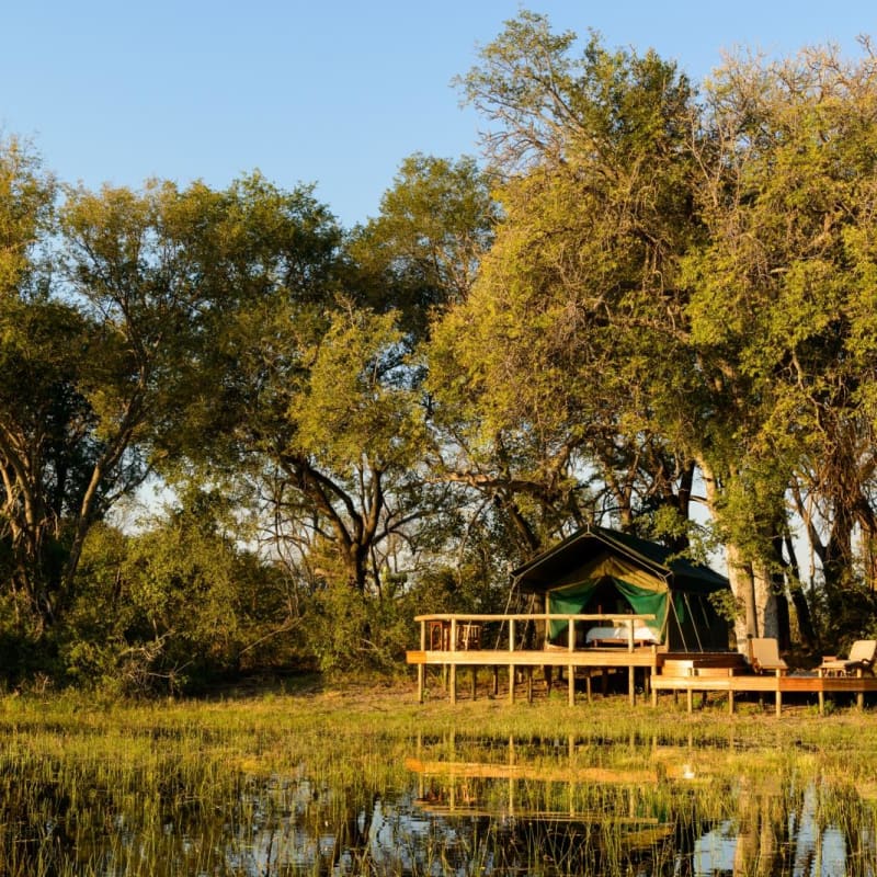 Tent - Macatoo Camp