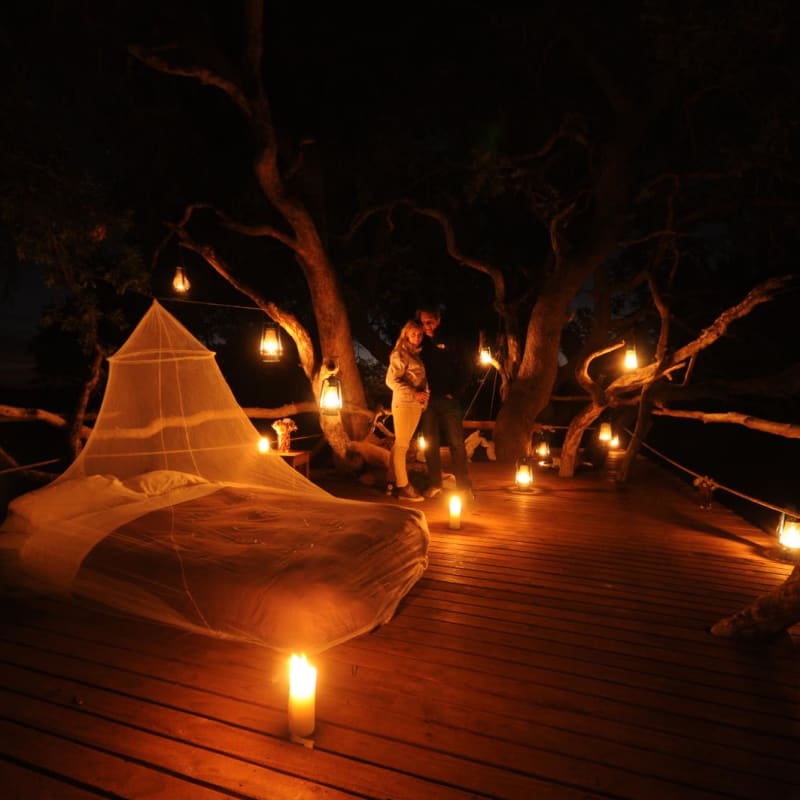 Treehouse sleepout - Macatoo Camp