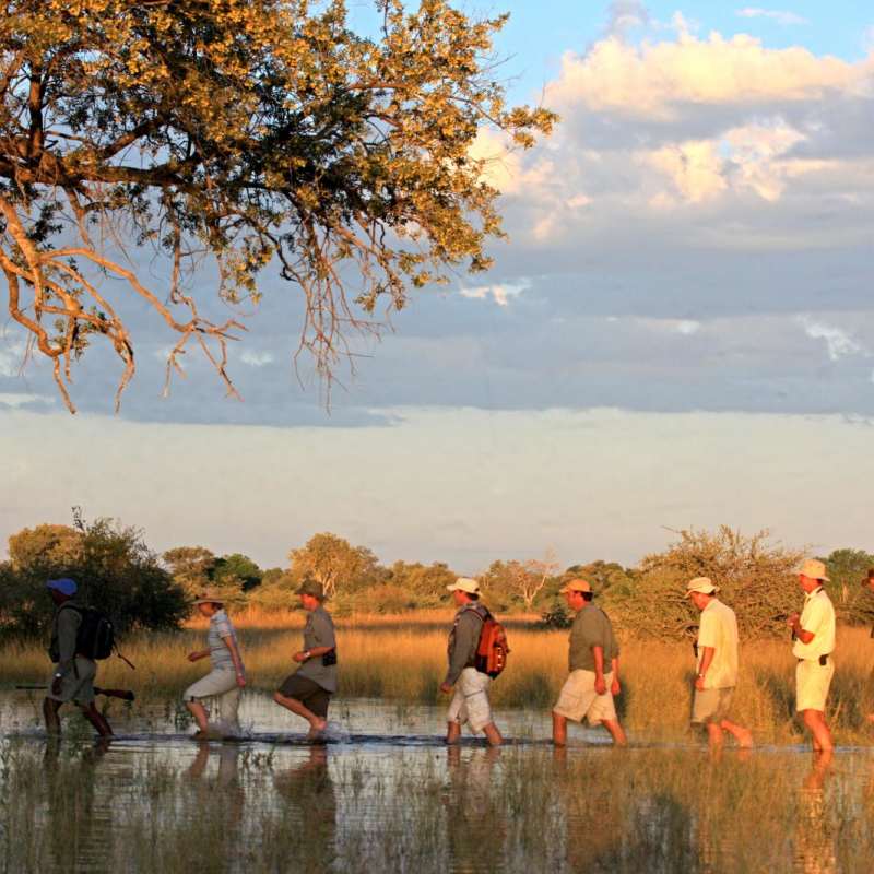 Walking in the Spilway - Selinda Explorers Camp