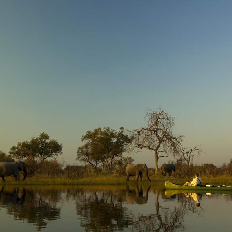 Canoeing on the Spilway - Selinda Explorers Camp