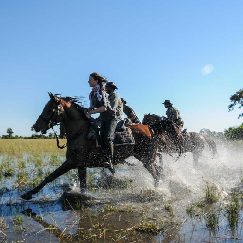 Galloping through the Delta - Wild Botswana Riding Safari
