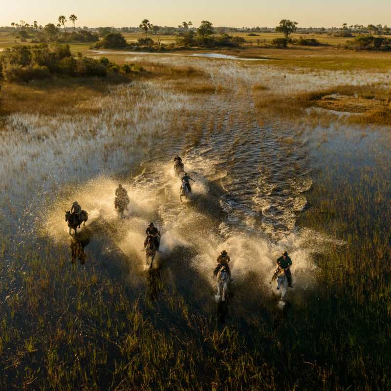 Horse riding in the Delta - Wild Botswana Riding Safari