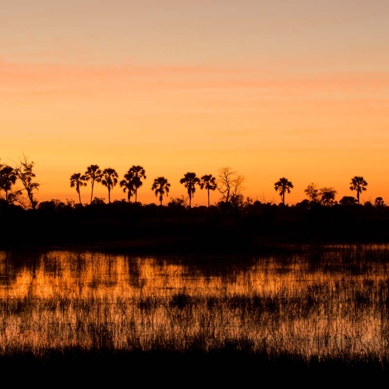 Sunset in the Delta