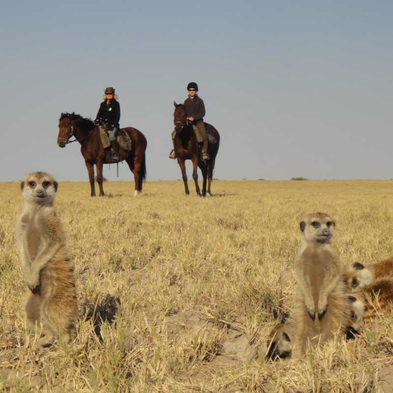 Riding in the Makgadikgadi pans - The Delta and Salt Pans