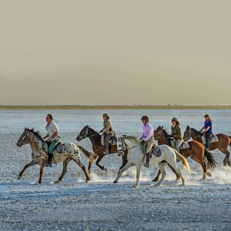 Horse riding at Jacks Camp 