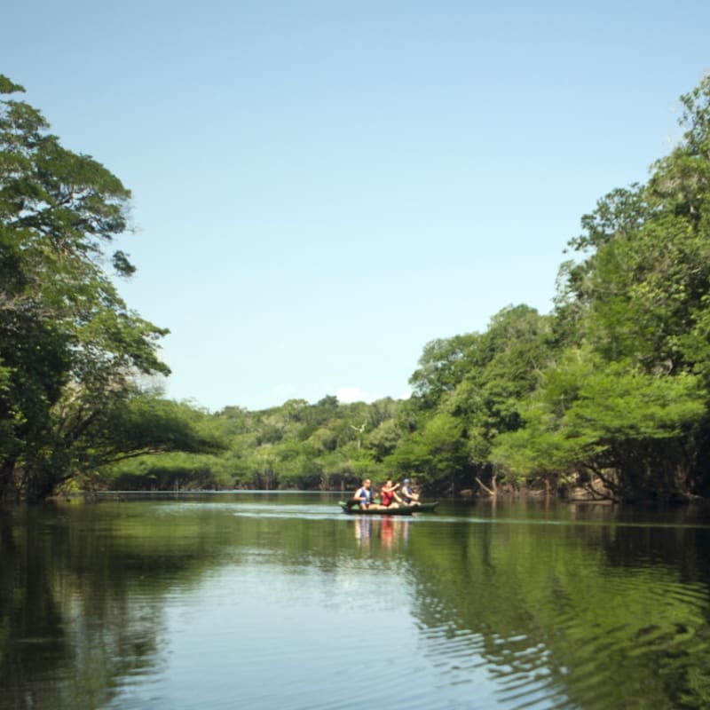 Canoeing - Anavilhanas Jungle Lodge
