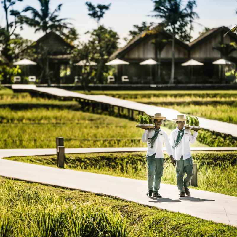 Grounds - Phum Baitang
