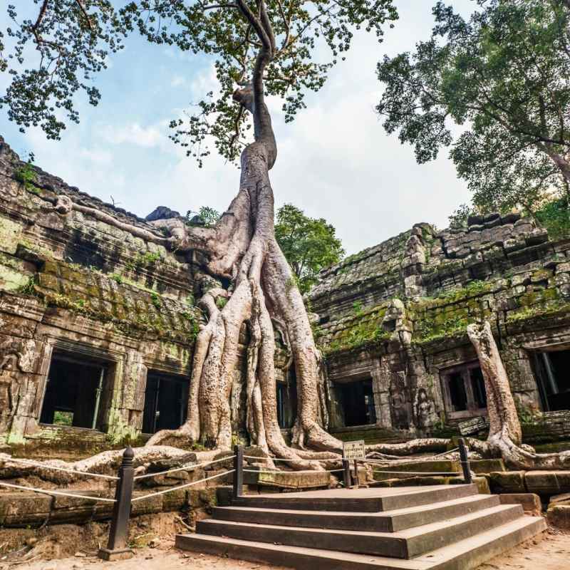 Temples of Angkor - The Jewels of Cambodia 