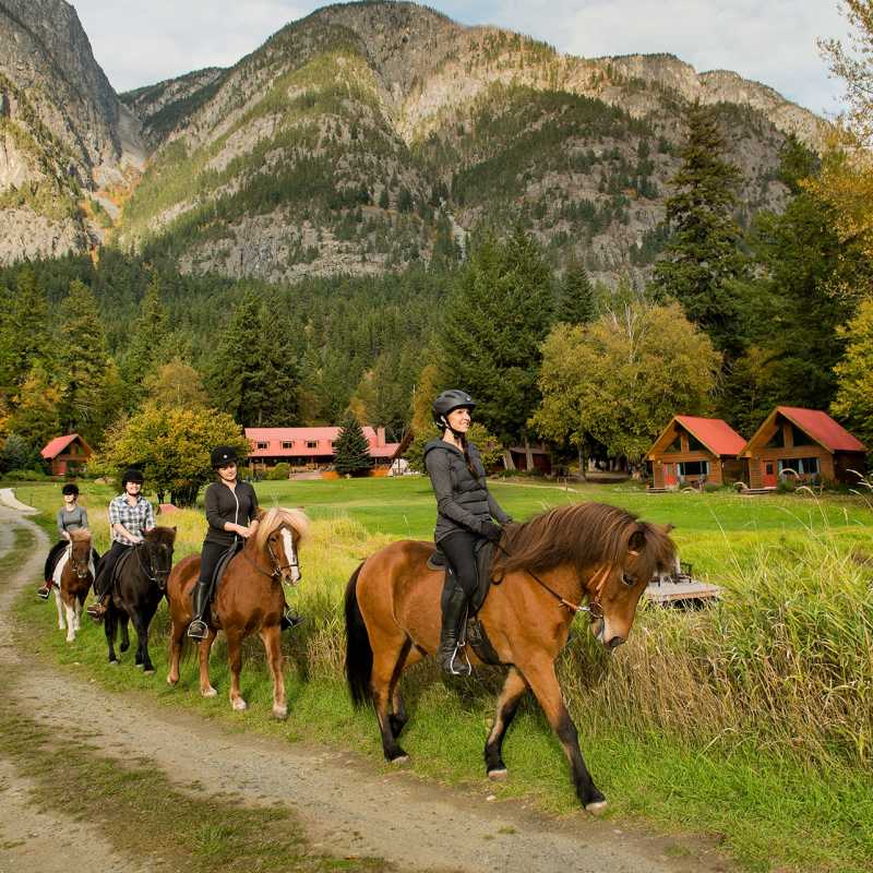 Horse Riding  