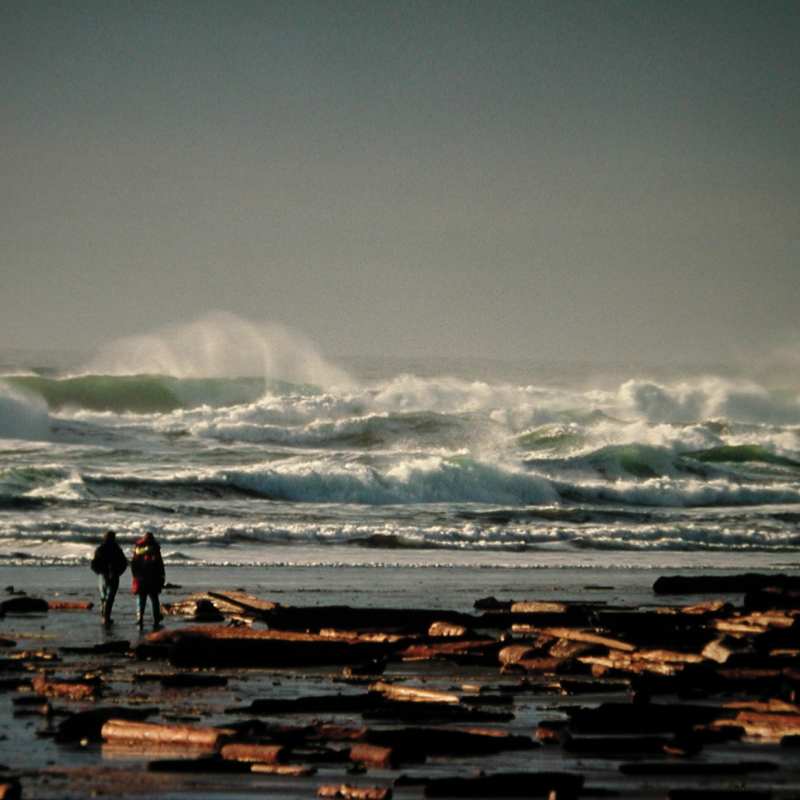 Wild Tofino - West Coast Canada In Style