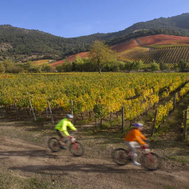Colchagua Valley  - Clos Apalta Residence