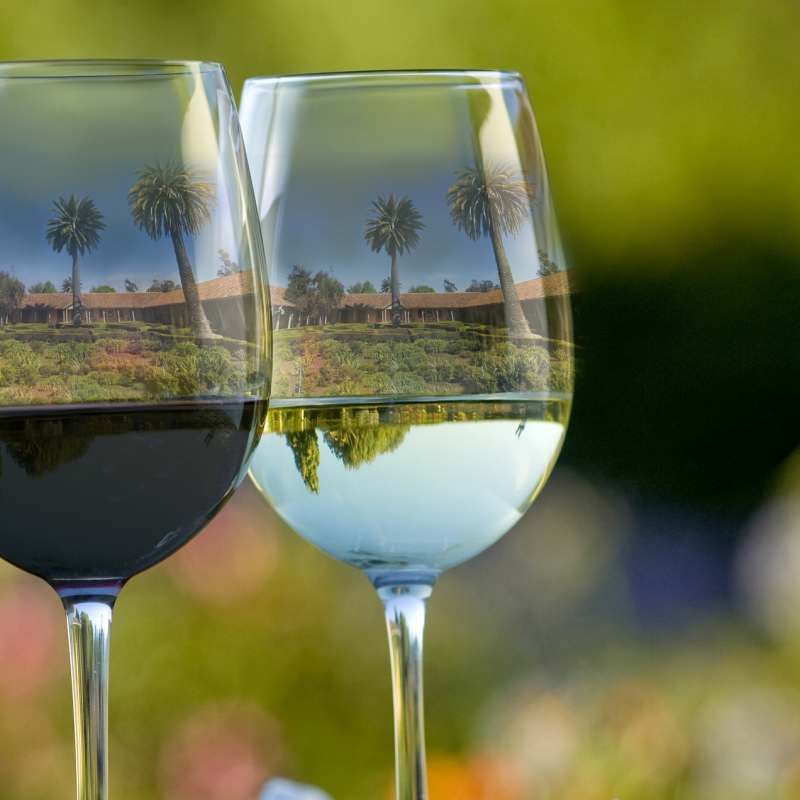 Wine glasses - La Casona at Matetic Vineyards