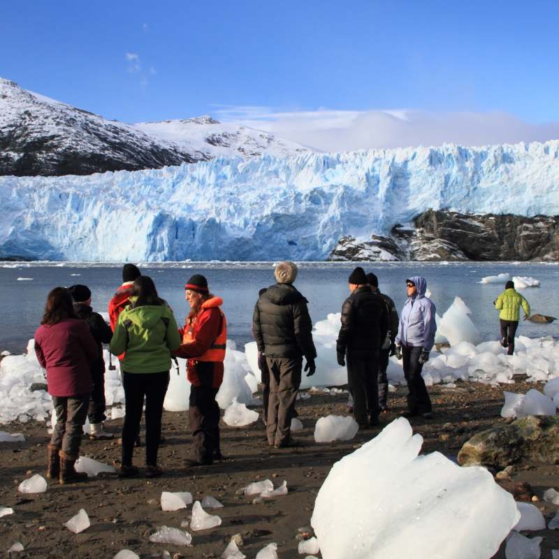 Brookes Glacier - Australis Cruises