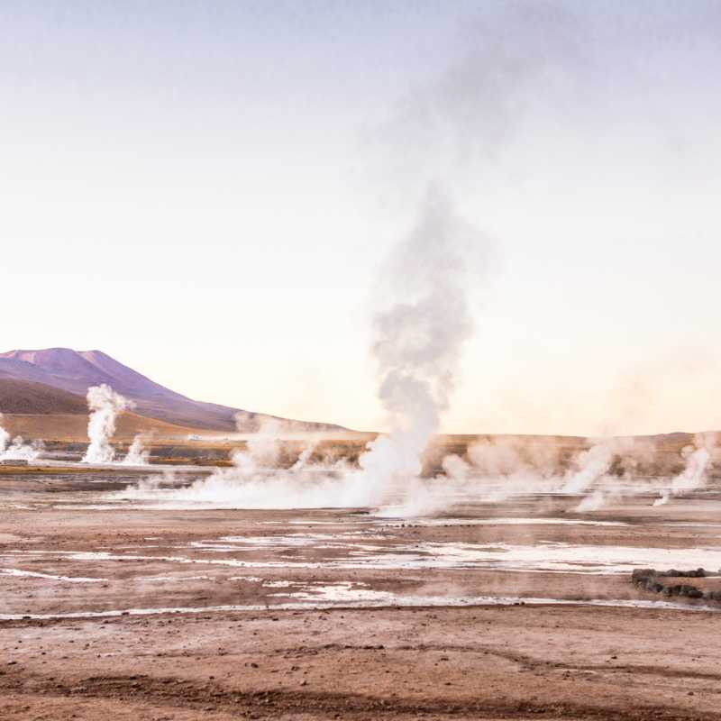 Chile Uncovered 