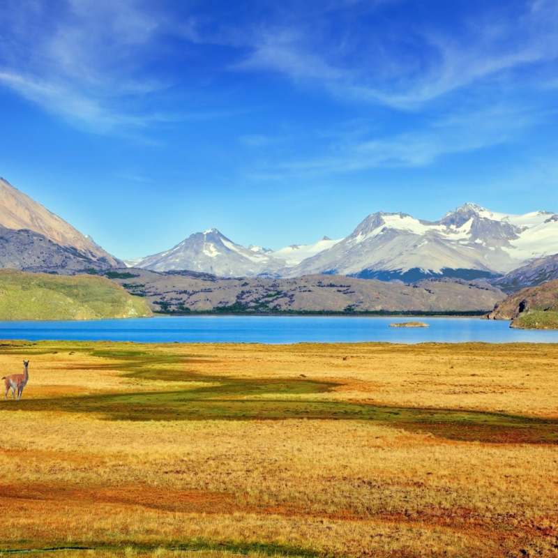 Ultimate Chile 