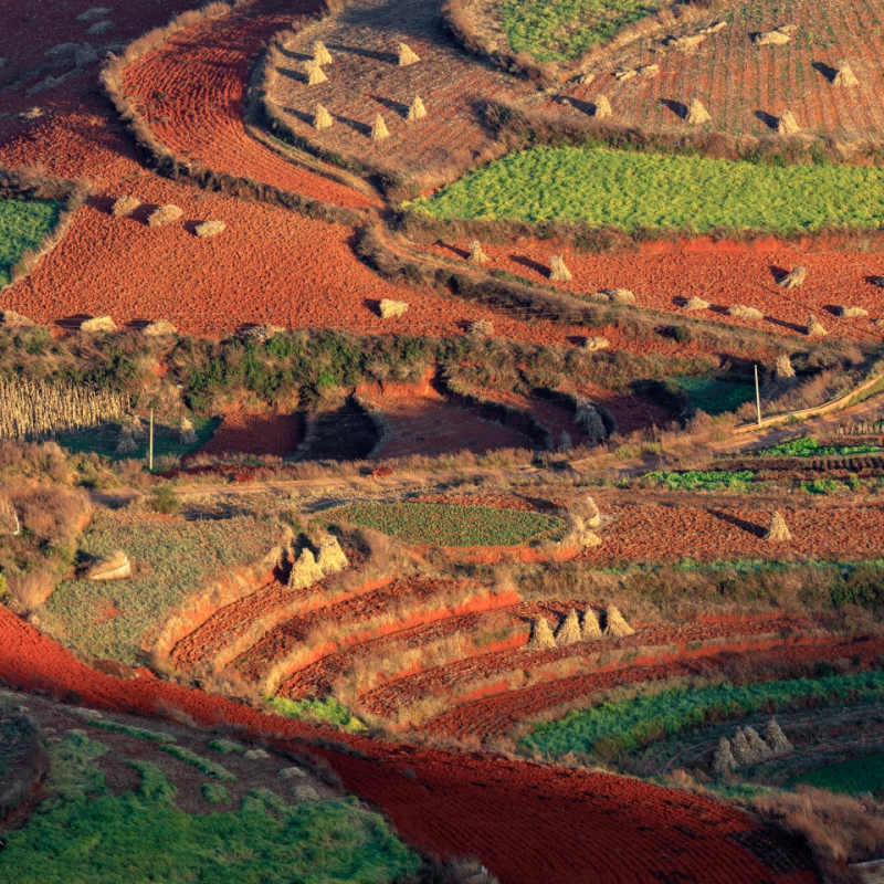 Dongchuan 