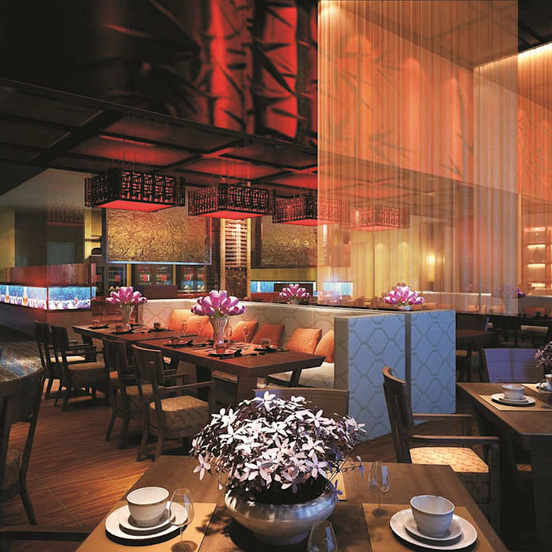 Chinese Restaurant 