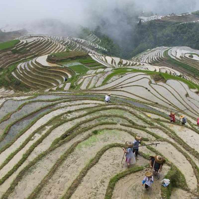 Li An Lodge   - Rice Terraces 