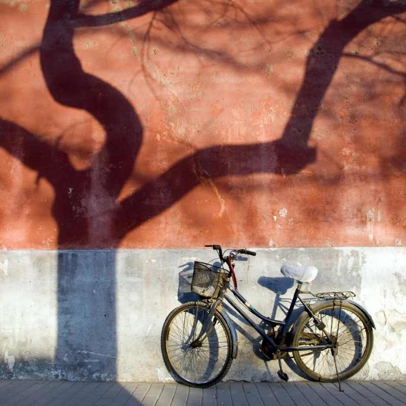 Bicycle in Beijing - 