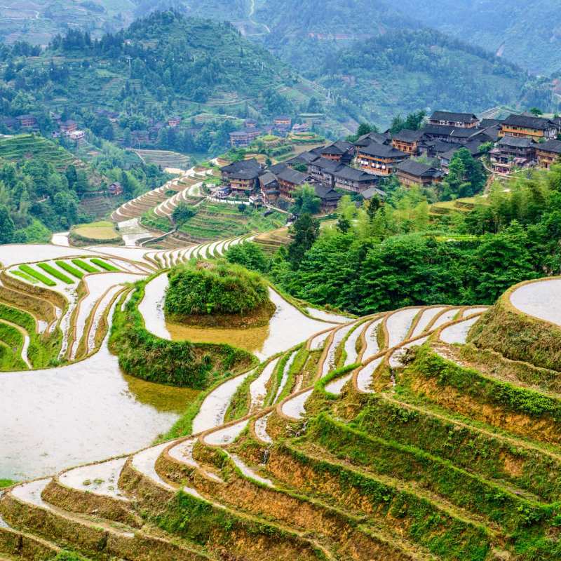 Rice Terraces in Longsheng - Rural China