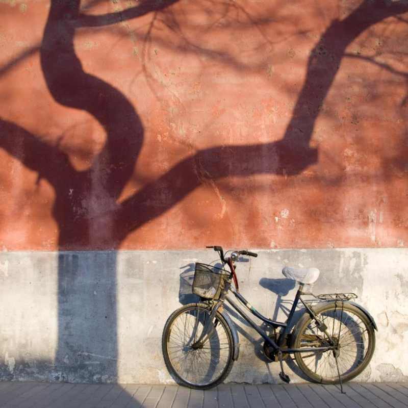Cycling in Xian  - The Ultimate Family Adventure in China 