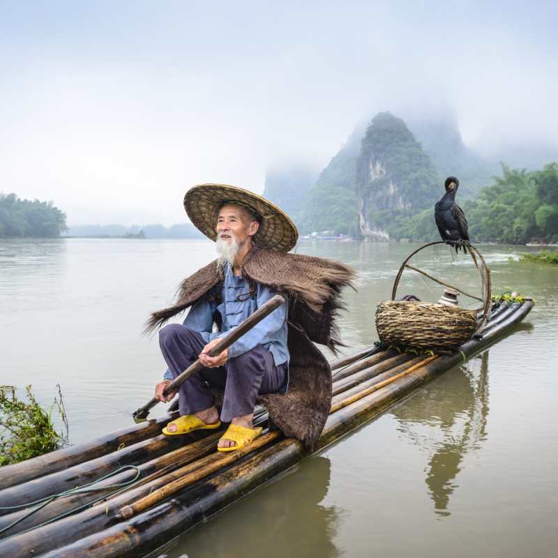 Cormorant Fishing in Guilin  - 