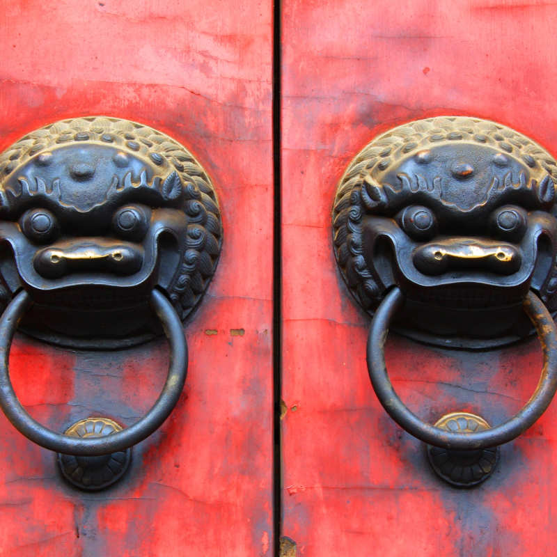 Lion Door in Shanghai  - 
