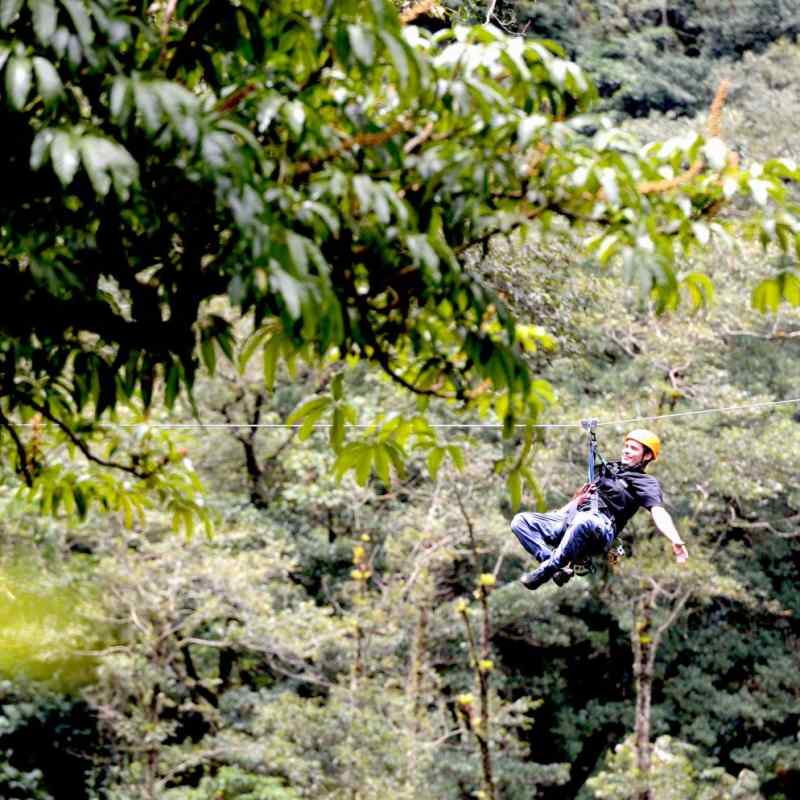 Canopy zip-wiring - El Silencio Lodge