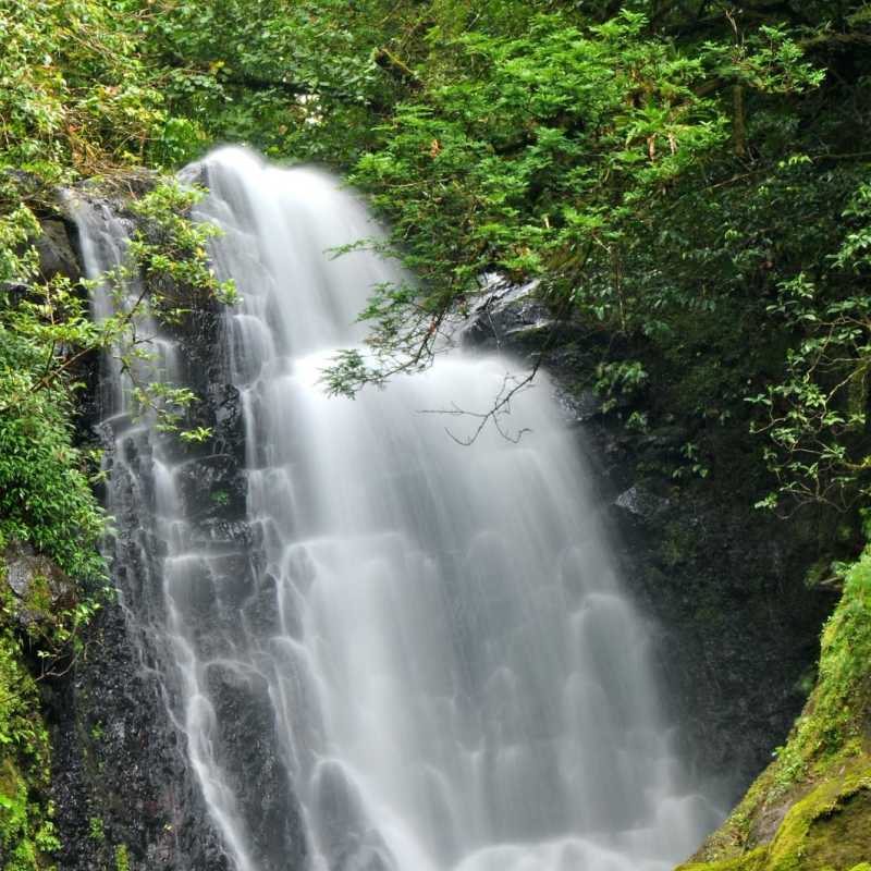 Waterfall near lodge - El Silencio Lodge