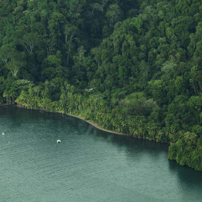 Aerial view - Playa Cativo