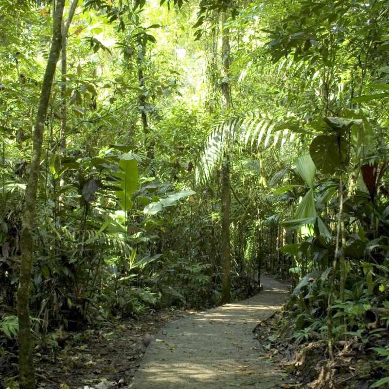 Active Costa Rica 