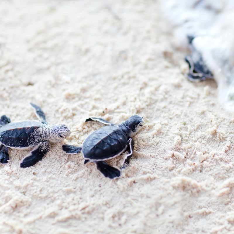 Costa Rica with Kids 