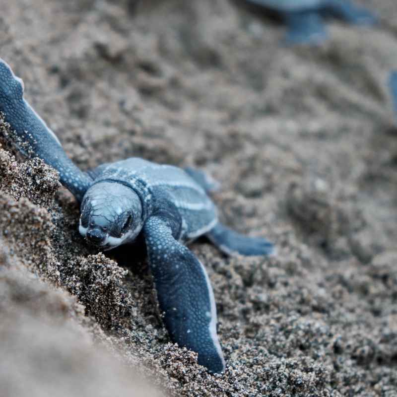 Epic Costa Rica 