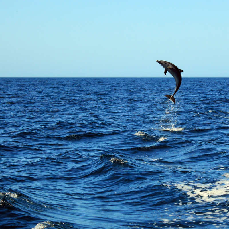 Extraordinary Costa Rica 