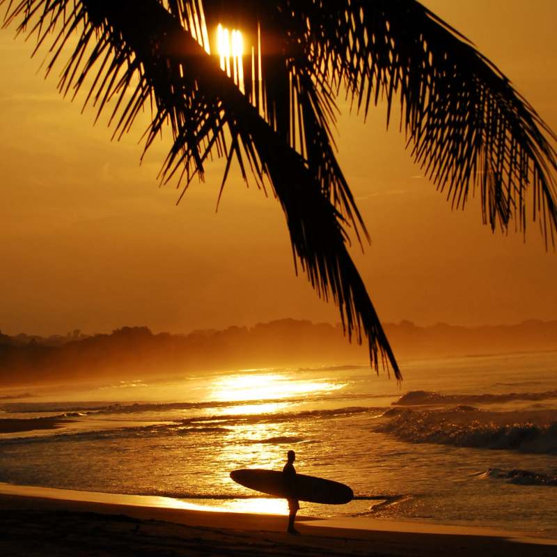 Surf the Pacific 