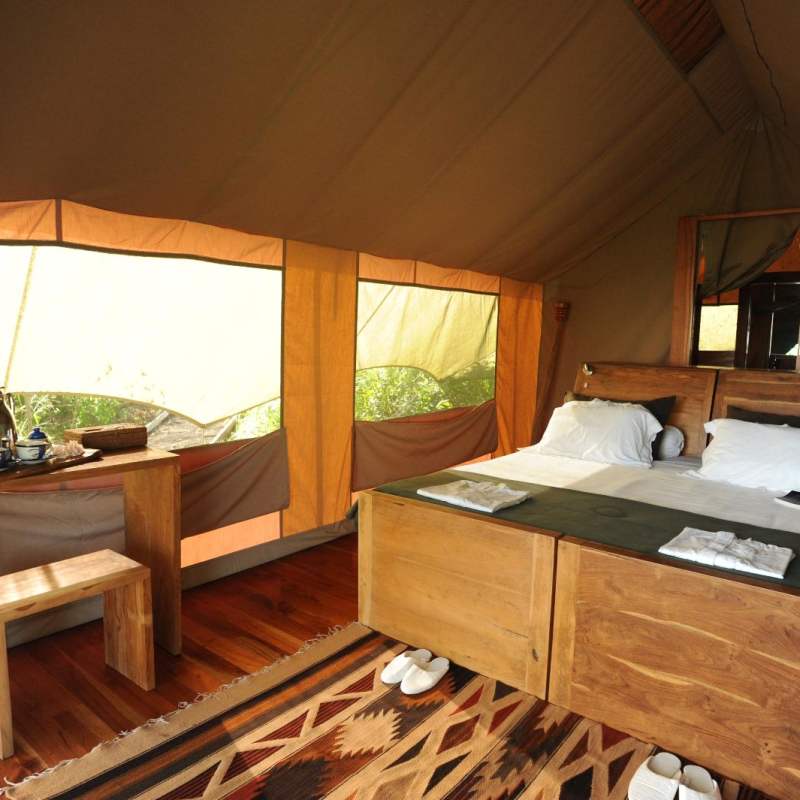 Tent interior  - Galapagos Safari Camp