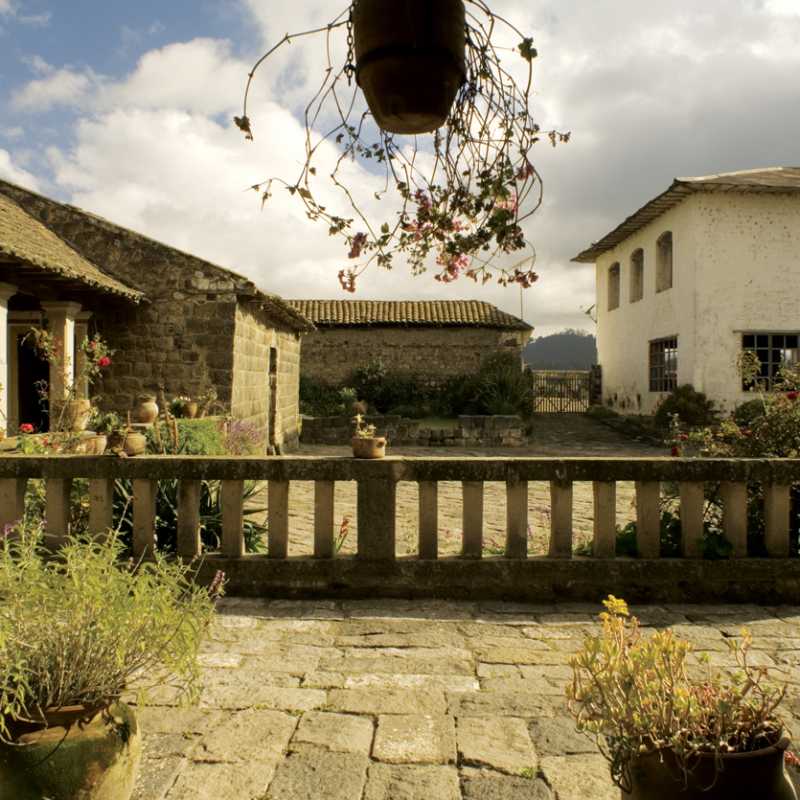 Looking out on the estate - Hacienda San Agustin de Callo
