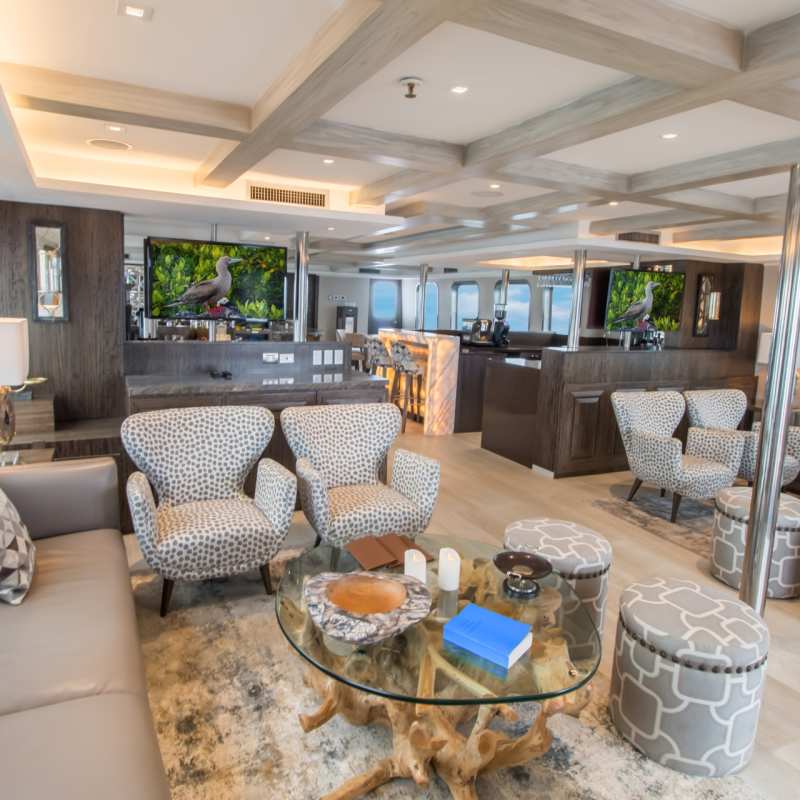 Main Lounge    