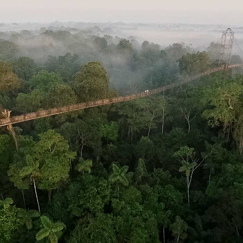Canopy Walkway 