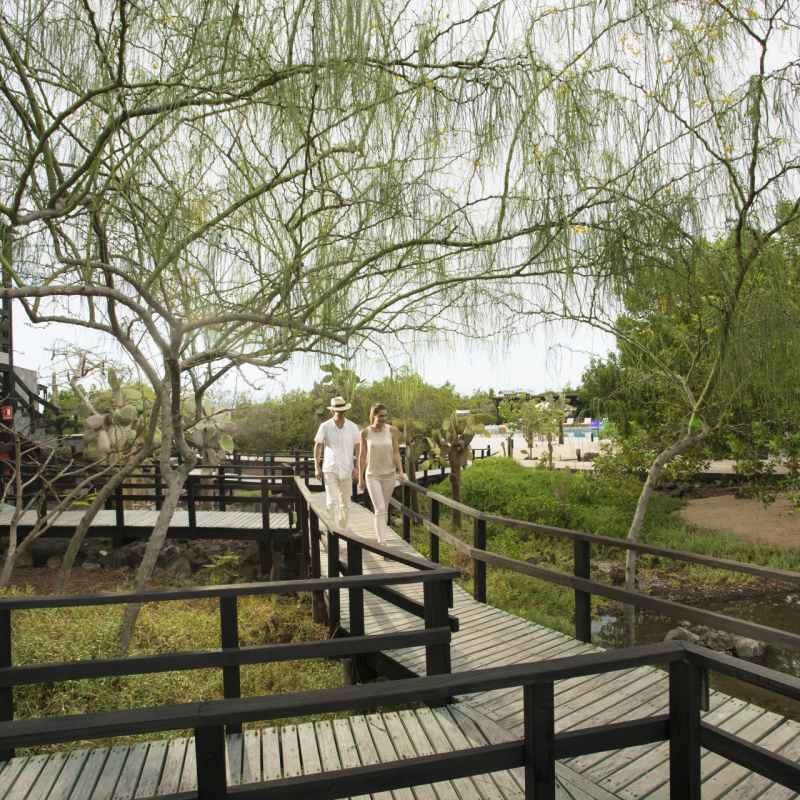 Gardens and walkways